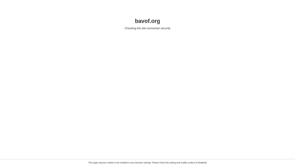 Screenshot of the Ben & Victoria Ononeze Foundation website