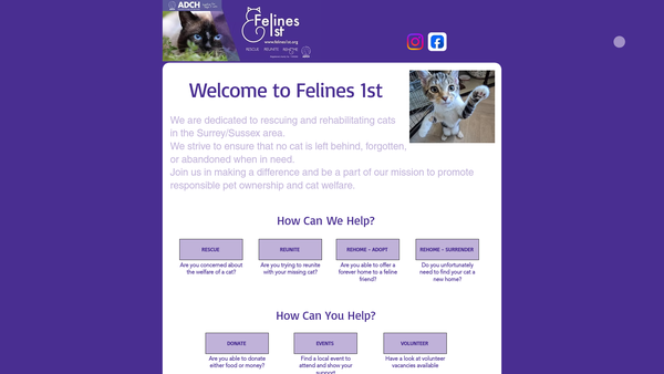 Screenshot of the Felines 1st website