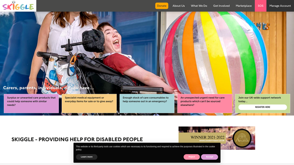 Screenshot of the Skiggle website