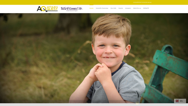 Screenshot of the Arthur's Quest website