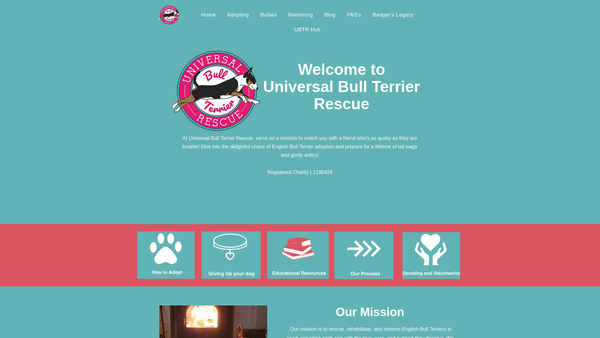 Screenshot of the Universal Bull Terrier Rescue website
