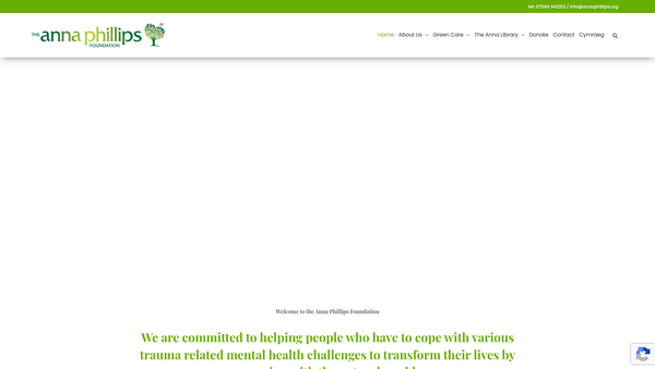 Screenshot of the The Anna Phillips Foundation website