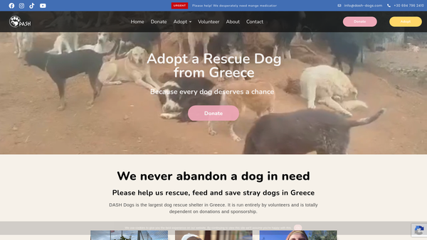 Screenshot of the Dash Dogs website