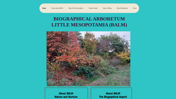 Screenshot of the Biographical Arboretum, Little Mesopotamia CIO website