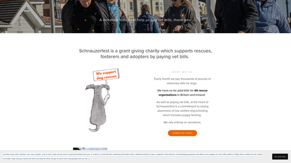 Screenshot of the Schnauzerfest website