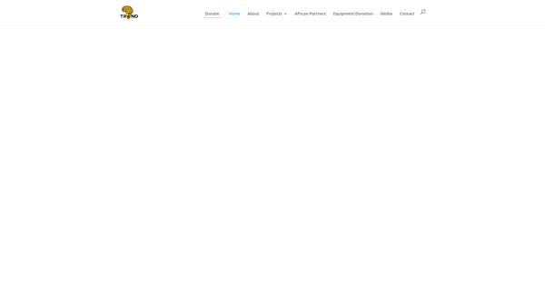 Screenshot of the Trend In Africa website