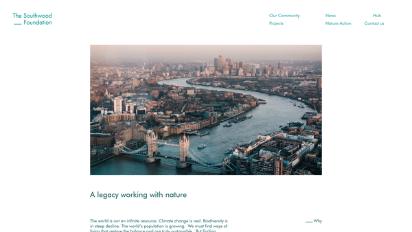 Screenshot of the Southwood Foundation website
