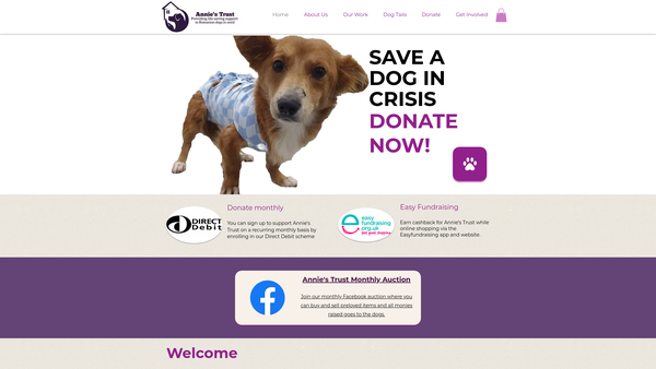Screenshot of the Annie's Trust website