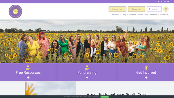 Screenshot of the Endometriosis South Coast website