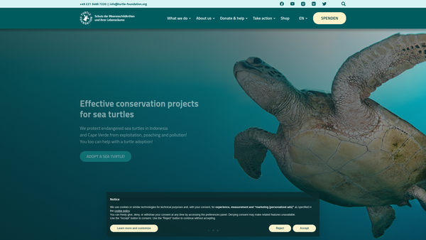 Screenshot of the Turtle Foundation (UK) website