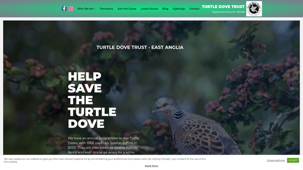 Screenshot of the Turtle Dove Trust website