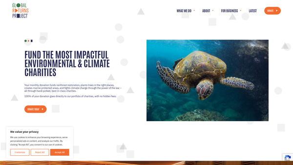 Screenshot of the The Global Returns Project Limited website