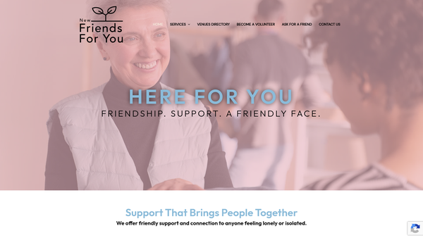 Screenshot of the New Friends For You website