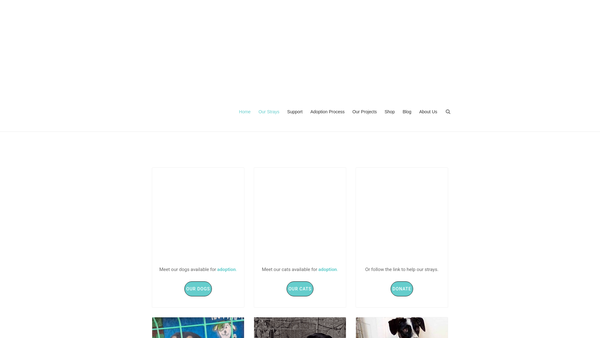 Screenshot of the Stray2me Rescue website
