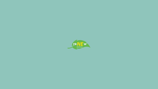 Screenshot of the Renew Ne website