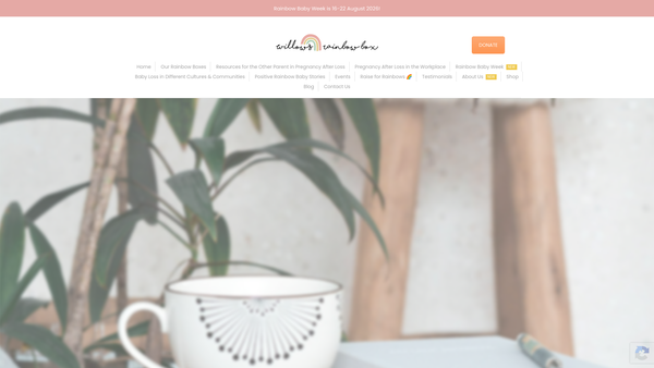 Screenshot of the Willow's Rainbow Box website