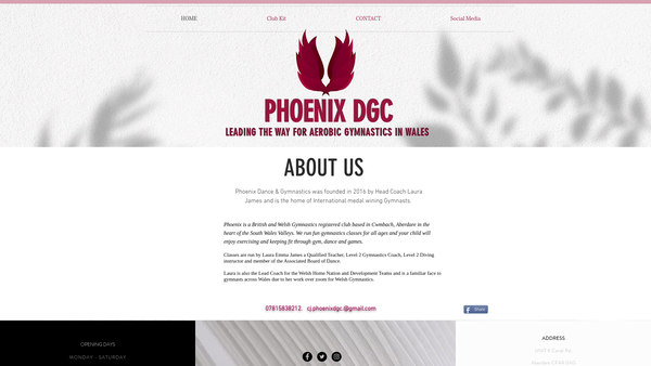 Screenshot of the Phoenix Dance & Gymnastics website