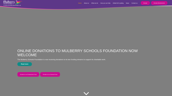 Screenshot of the Mulberry Schools Foundation website