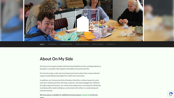 Screenshot of the On My Side website