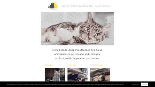 Screenshot of the Feline Friends London website