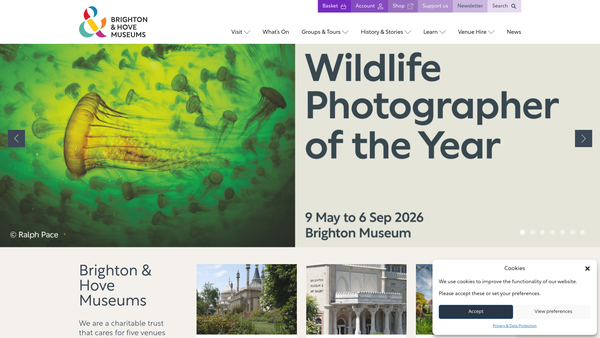 Screenshot of the Royal Pavilion And Museums Trust website