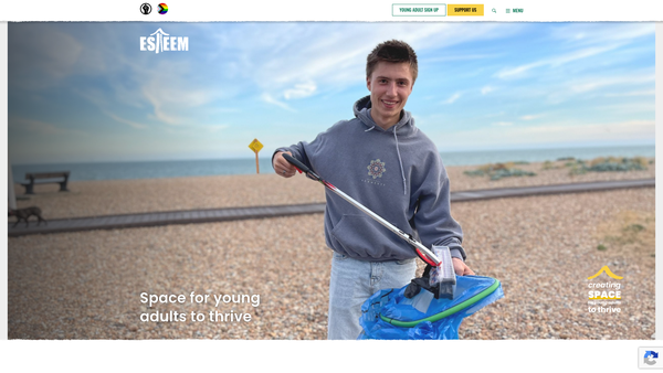 Screenshot of the Esteem website