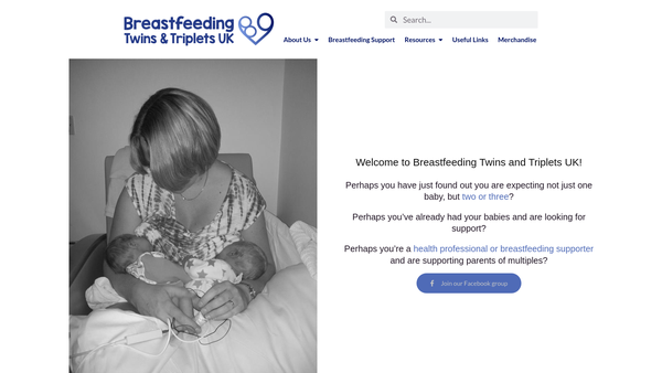 Screenshot of the Breastfeeding Twins And Triplets UK website