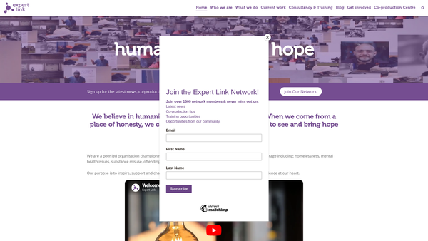Screenshot of the Expert Link website