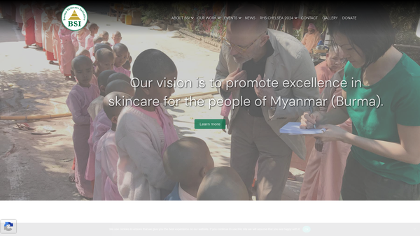 Screenshot of the Burma Skincare Initiative website