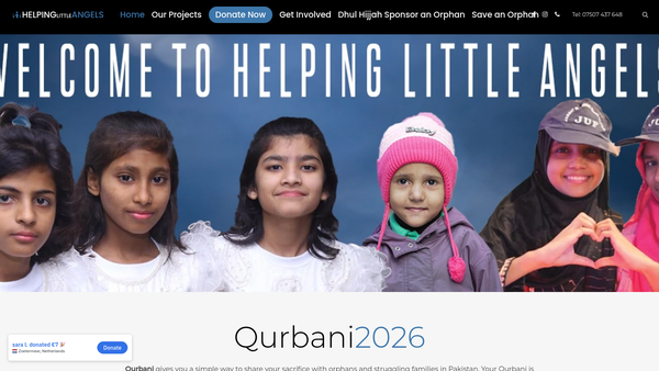 Screenshot of the Helping Little Angels website