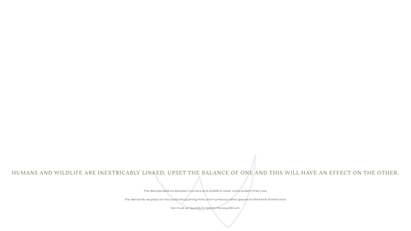 Screenshot of the Waterberg Rhino UK website