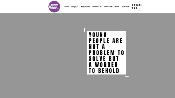 Screenshot of the Thame Youth Projects Group (CIO) website