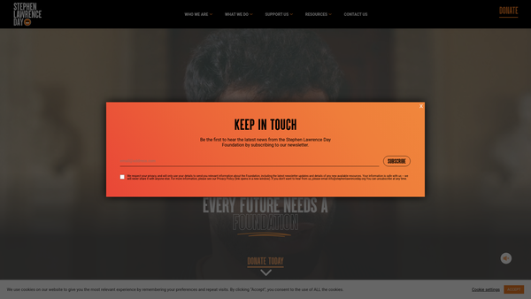 Screenshot of the The Stephen Lawrence Day Foundation website