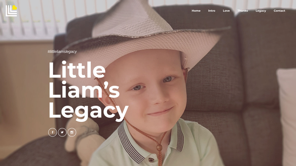 Screenshot of the Little Liam's Legacy website