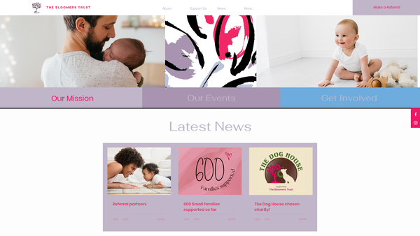 Screenshot of the The Bloomers Trust website