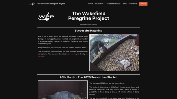 Screenshot of the The Wakefield Peregrine Project website