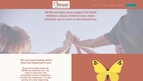 Screenshot of the Beam website