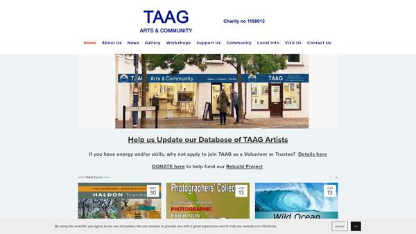 Screenshot of the Taag CIO website
