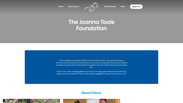Screenshot of the The Joanna Toole Foundation website