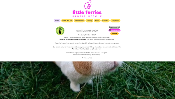 Screenshot of the Little Furries Rabbit Rescue website
