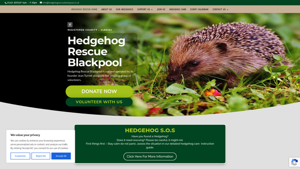Screenshot of the Hedgehog Rescue Blackpool website