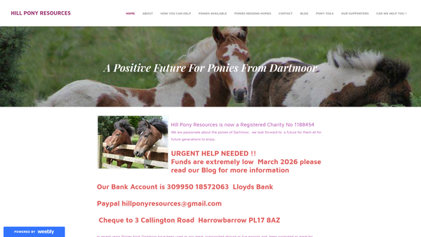 Screenshot of the Hill Pony Resources Group website