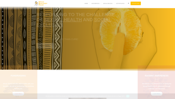 Screenshot of the Adp African Development Project website