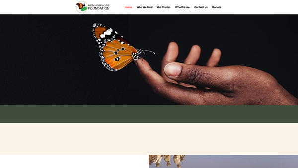 Screenshot of the Metamorphosis Foundation website