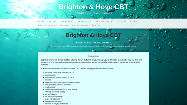 Screenshot of the Brighton Exiled/refugee Trauma Service (Berts) website