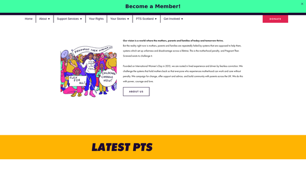 Screenshot of the The Motherhood Plan website