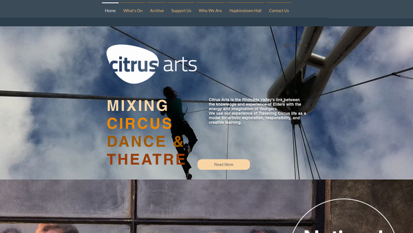 Screenshot of the Citrus Arts website