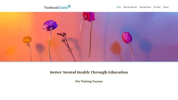Screenshot of the Two Roads Emotional Health And Safety CIO website