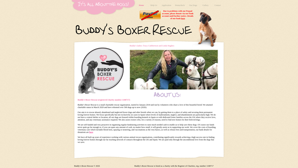 Screenshot of the Buddy's Boxer Rescue website