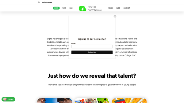 Screenshot of the Digital Advantage website